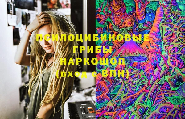 прущие грибы Горно-Алтайск