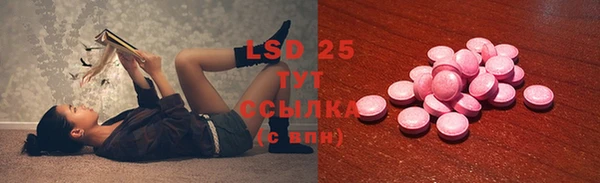 прущие грибы Горно-Алтайск