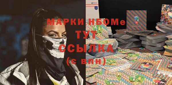 прущие грибы Горно-Алтайск