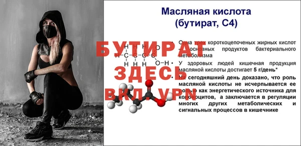 прущие грибы Горно-Алтайск